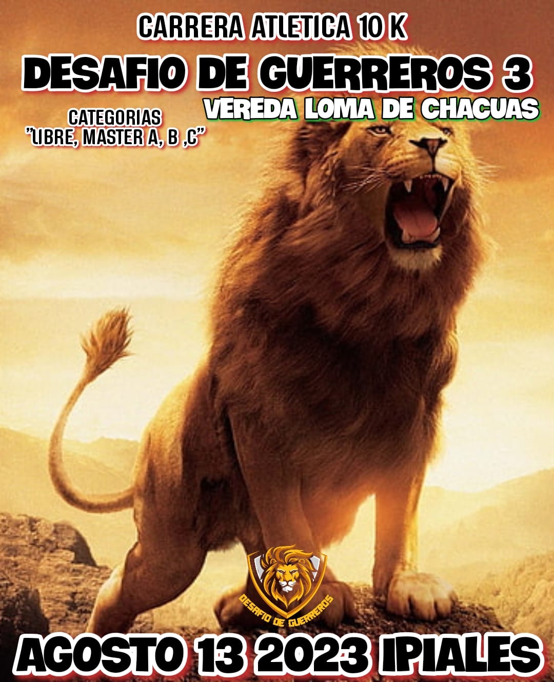 Imagen 6